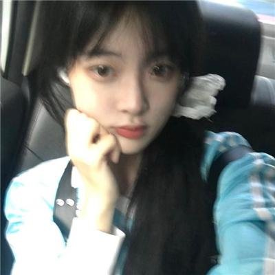 美国鼠谭2：西部历险记