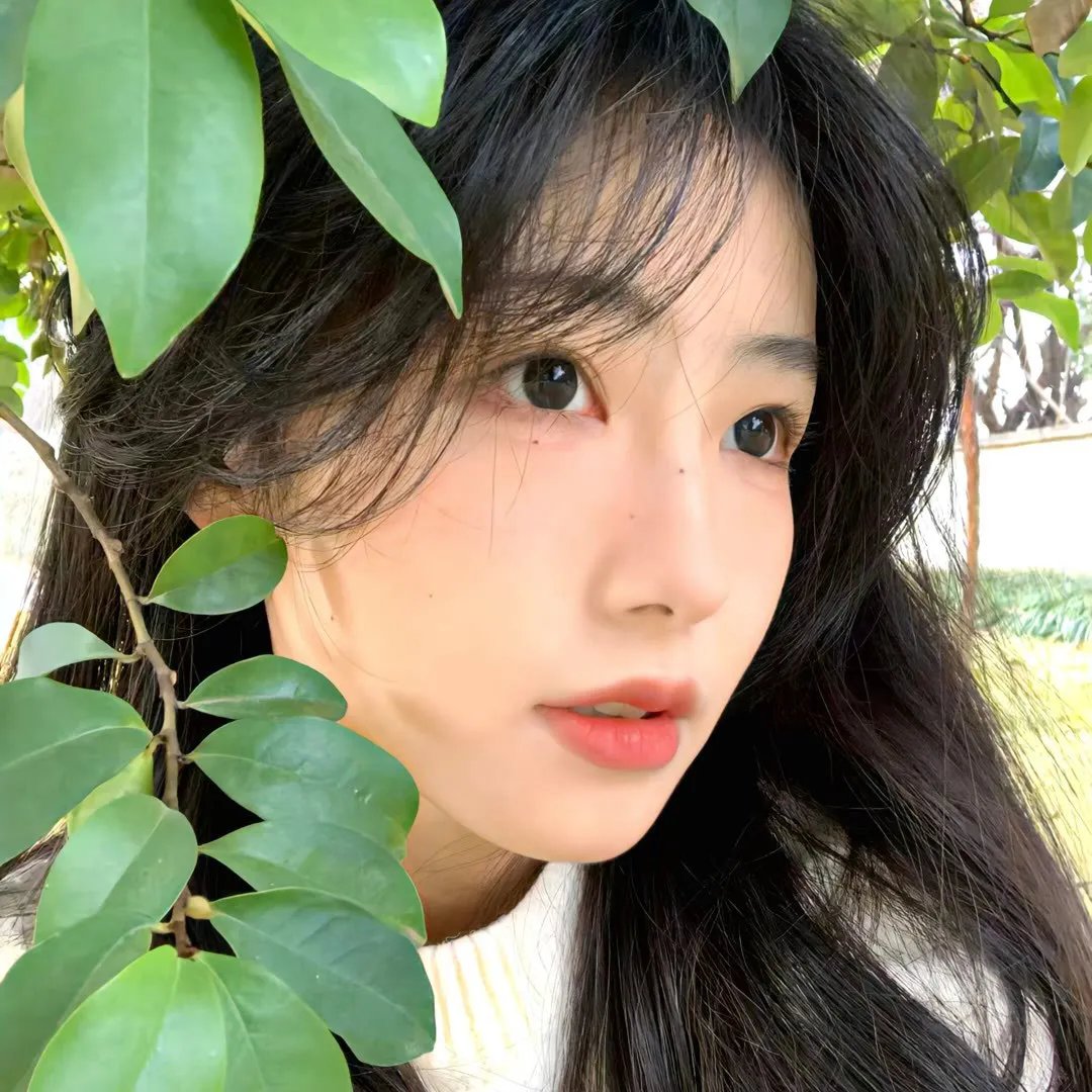 命中注定缘归来